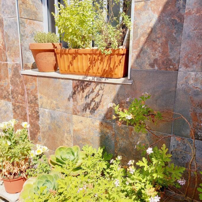 ビラノーバ・デ・アロウサRias Bajas Apartamento Con Jardinアパートメント エクステリア 写真
